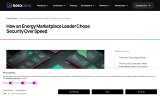 Preview of the Energy & Sustainability Technology Leader Case Study