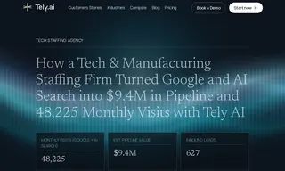 Preview of the Tech Staffing Agency Case Study