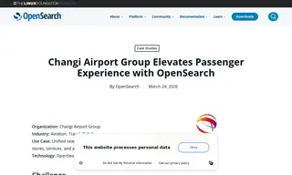 Preview of the Changi Airport Group Case Study