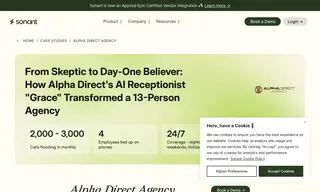Preview of the Alpha Direct Agency Case Study