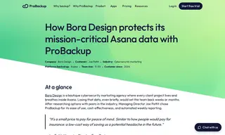 Preview of the Bora Design Case Study