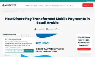 Preview of the Dinero Pay Case Study