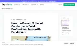 Preview of the National Gendarmerie Case Study