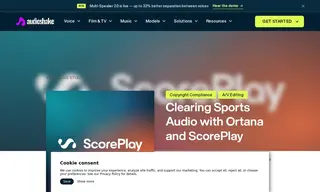 Preview of the Ortana Media Group Case Study