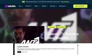 Preview of the ANT1 TV Case Study