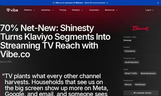 Preview of the Shinesty Case Study
