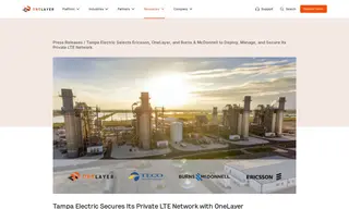 Preview of the Tampa Electric Company (teco) Case Study