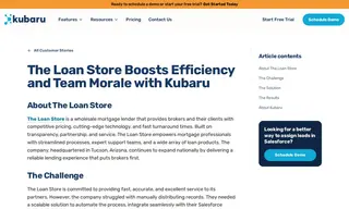 Preview of the The Loan Store Case Study