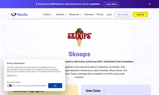 Preview of the Skoops Ice Cream Case Study
