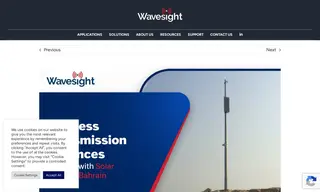 Preview of the Delta Safety & Security Services – Bahrain Case Study