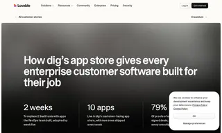 Preview of the Dig Case Study
