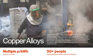 Preview of the Copper Alloys Case Study