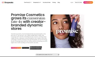 Preview of the Promise Cosmetics Case Study