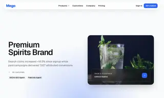 Preview of the Premium Spirits Brand Case Study