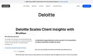Preview of the Deloitte Case Study