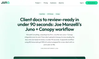 Preview of the Manzelli Consulting Case Study