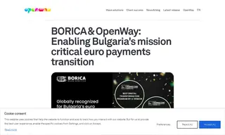 Preview of the Borica Case Study