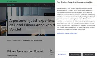 Preview of the Pillows Anna Van Den Vondel Amsterdam Case Study