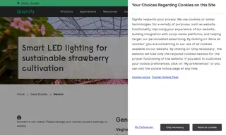 Preview of the Genson Case Study