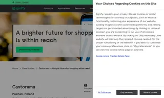 Preview of the Castorama Case Study