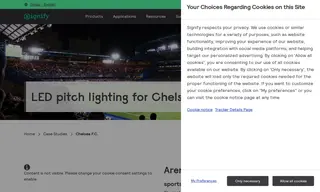 Preview of the Chelsea F.C Case Study