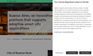 Preview of the City of Buenos Aires Case Study