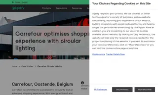 Preview of the Carrefour Case Study