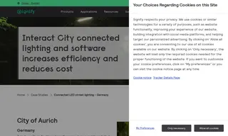 Preview of the City of Aurich Case Study