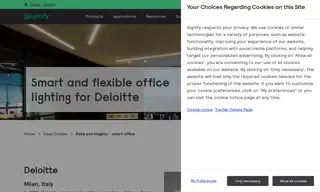 Preview of the Deloitte Case Study