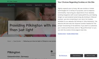 Preview of the Pilkington Automotive Case Study