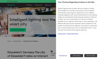Preview of the Stadtwerke Düsseldorf AG Case Study