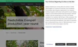 Preview of the Gourmet Mokai Case Study