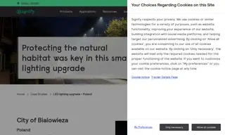 Preview of the City of Bialowieza Case Study
