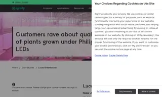 Preview of the Lucas Greenhouses Case Study