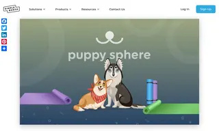 Preview of the Puppy Sphere Case Study