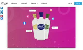 Preview of the Deep Eddy Vodka Case Study