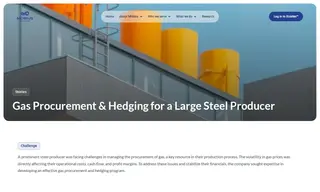 Preview of the Large Steel Producer Case Study