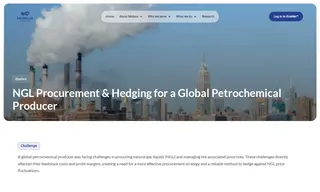 Preview of the Global Petrochemical Producer Case Study