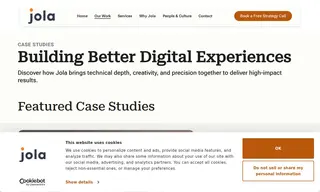 Preview of the CR Laine Case Study