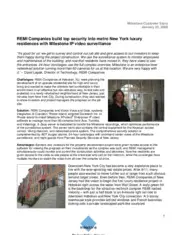 Preview of the REMI Companies Case Study