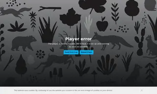 Preview of the Fini Case Study