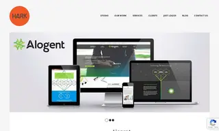 Preview of the Alogent Case Study