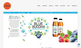 Preview of the Blue Buddha Case Study
