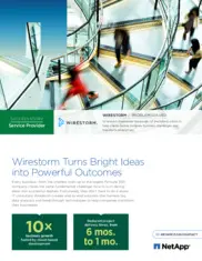 Preview of the Wirestorm Case Study