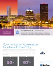 Preview of the City of Rochester Case Study