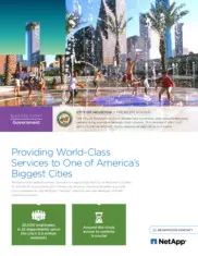 Preview of the City of Houston Case Study