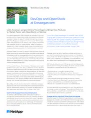 Preview of the Despegar.com Case Study