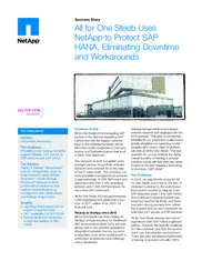 Preview of the All for One Steeb Case Study