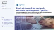Preview of the Esprinet Case Study