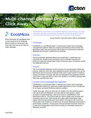 Preview of the EidosMedia Case Study